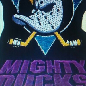 Mighty Ducks Quotes