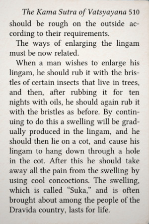 App Store rejects eBook Reader because it allows access to Kama Sutra