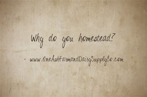 The million dollar question: Why Do You Homestead? Come follow our ...