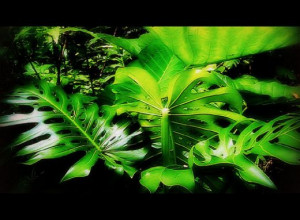 Favorite Motivational Quotes from Sheri Dew