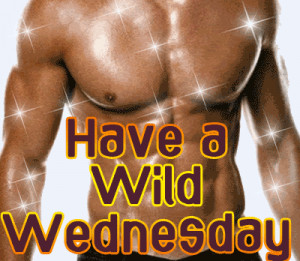 Myspace Graphics > Wednesday > have a wild wednesday Graphic