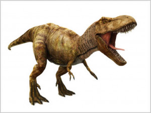 Dinosaur 'Boneheads': One Man's Search For T. Rex