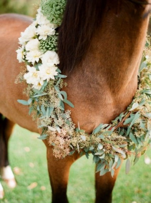 ... country flower flowers horses horse equestrian garden wed wedding