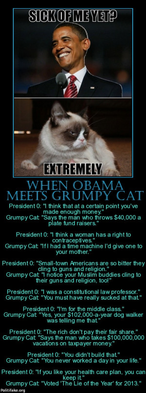 When Obama meets Grumpy Cat - politics