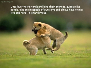 Dogs Love Their Friends And Bite Their Enemies