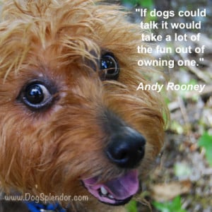 Quotables: If dogs could talk...