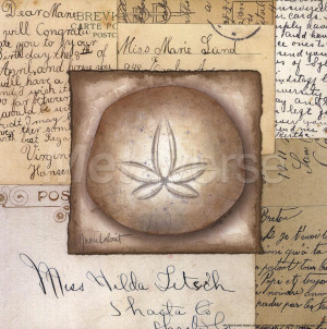 Sand Dollar by Annie Lapoint art print