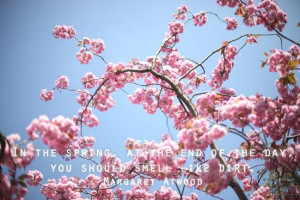 quote for spring, gardening