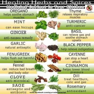 Oregano helps soothe stomach muscles,Mint can ease hiccups,Ginger anti ...