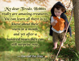Lord Of The Rings Quotes Gandalf The lord of the rings quote by