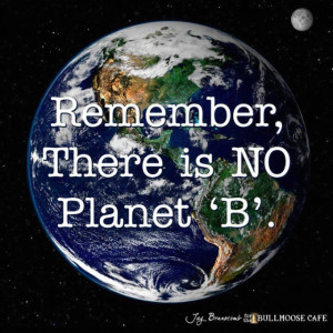 ... Earth Like Planets, Environment Quotes, Planets It, Save Our Planets