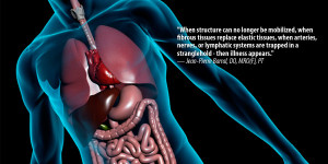 Dena Liebrecht and Visceral Manipulation