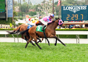 CHARLES WHITTINGHAM STAKES QUOTES