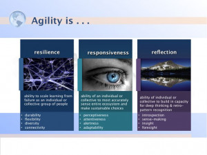 This is how we define agility and the epicenter of our leadership ...