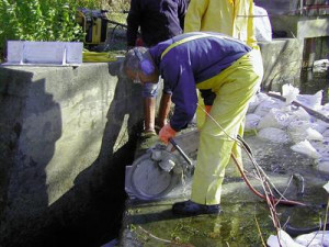 view original image )