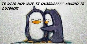 Te Quiero Mucho quote