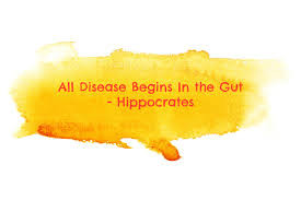 the health of our gut is intimately connected to the health of our ...