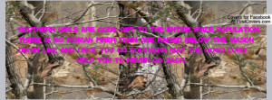 Southern Girl Facebook Covers Quotes