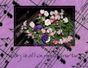 Inspired by pansies with quote and sheet music background by Sandra ...