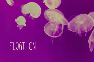 JELLYFISH QUOTES image gallery