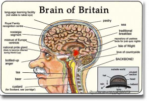 How to be British No. 24: Brain of Britain