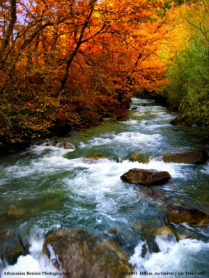 Creek And Stream, Ahhhhh Beautiful, Beautiful Fall, Rams Pumps, Rivers ...