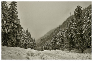 Funny Quotes Contact Us DMCA Notice