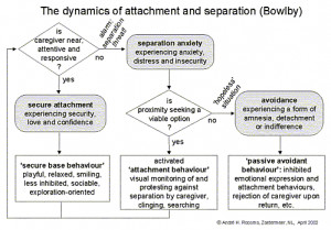 John Bowlby Attachment Theory Stages