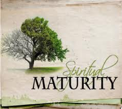 The Measure of the Stature of the Fulness of Christ