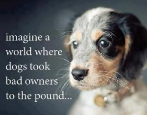 Imagine a world where dogs took bad owners to the pound