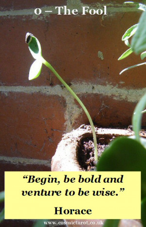 New Moon in Sagittarius Tarot Reading