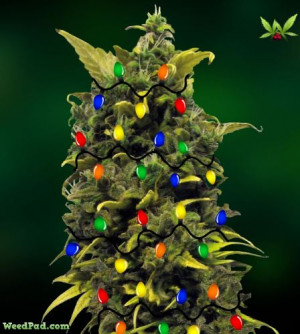 Christmas Weed Wallpaper