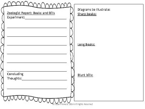 Animal Adaptations Worksheets 5th Grade picture