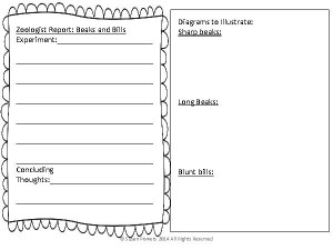 Animal Adaptations Worksheets 5th Grade picture