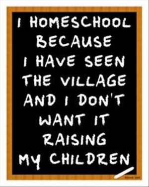 homeschool my kids, funny quotes