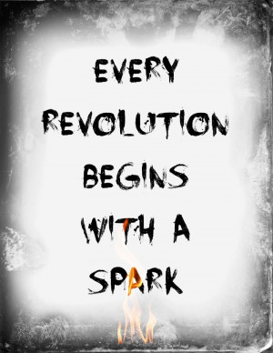 Catching Fire -- Every revolution begins with a spark