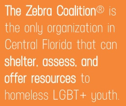 ... Different Stripe: An Interview with Zebra Coalition's Dexter Foxworth