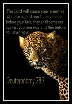 Deuteronomy 28:7Scriptures, Mi Spirituality