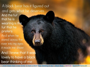 ... it was lovely to have a black bear thinking of me.” – Black Bear