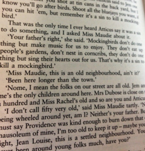 To Kill A Mockingbird Characters Miss Maudie Atticus takes the case to