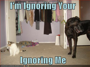 http://www.typophile.com/files/Cat-CatIgnoringDogImIgnoringYouIgno ...