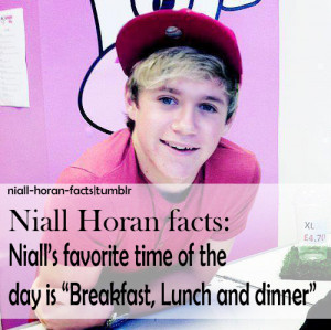 Image was hearted from niall-horan-facts.tumblr.com