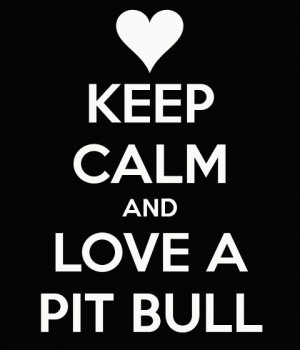 keep calm and love a pitbull