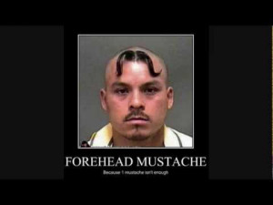 download now Its about Wtf Forehead Funny Pictures Popscreen Picture