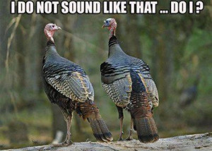 Showing Gallery For Funny Turkey Hunting Quotes