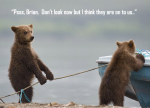 Funny Picture: Cute bears stealing a boat. 