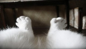 Reasons Why Pants Shouldn’t Have A Leg To Stand On