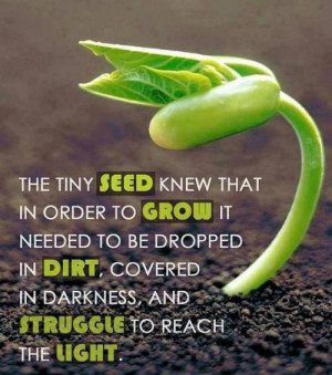 The tiny SEED knew that in order to GROW it needed to be dropped in ...