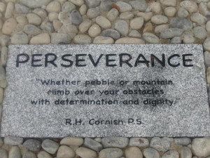 Inspirational Quotes About Perseverance