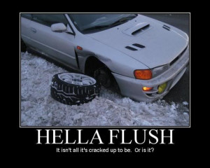 Hella-Flush??? No. Hella-Functional!!!